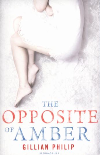 Book review: The Opposite of Amber